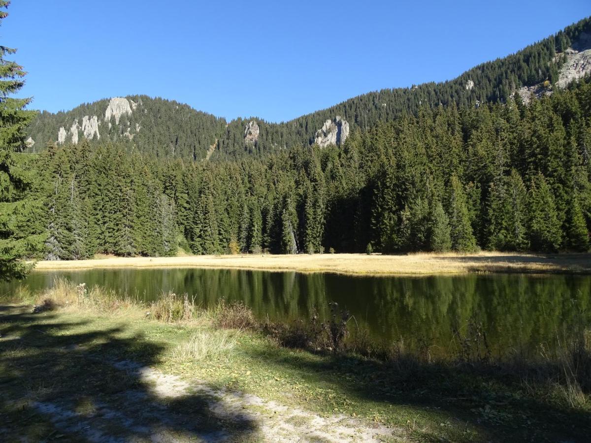 Apartment Darsi Pamporovo Dış mekan fotoğraf