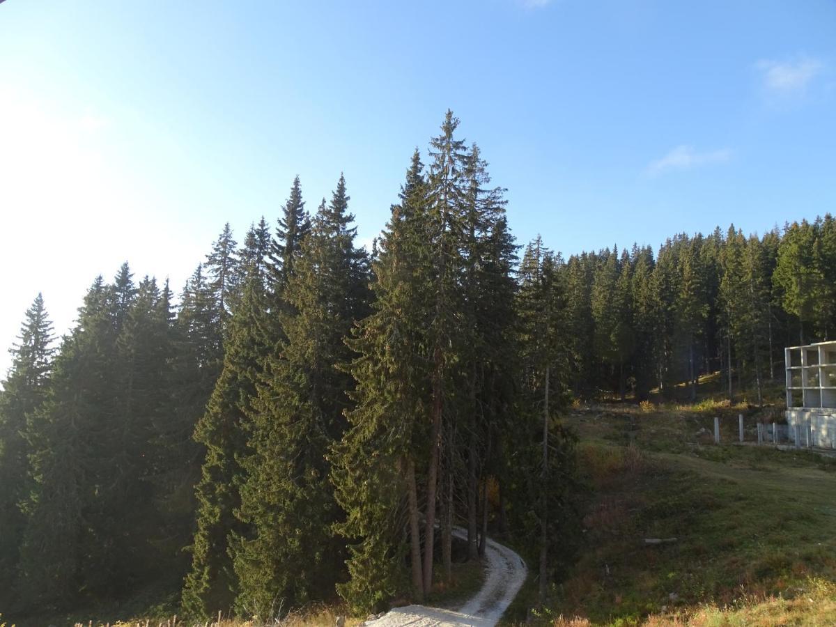 Apartment Darsi Pamporovo Dış mekan fotoğraf